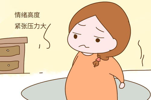 u=2318708559,112127893&fm=15&gp=0.jpg