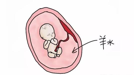 【转载】孕期羊水的量,关系到胎儿的健康