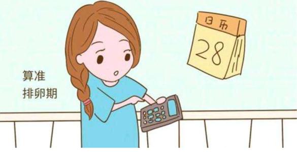 u=1231609286,2310167289&fm=15&gp=0.jpg