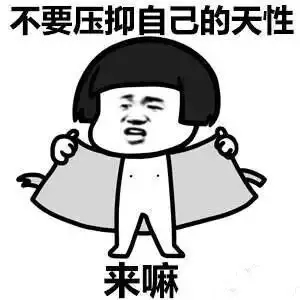 p12.webp.jpg