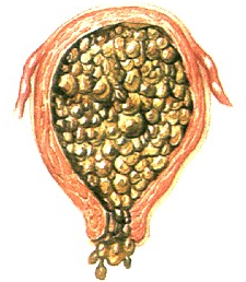 12-1FH3162456441.jpg
