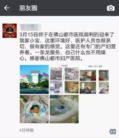 p8.webp.jpg