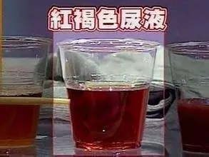 n1.webp.jpg