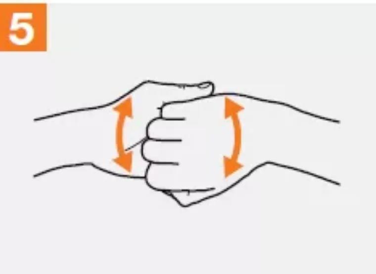 x5.jpg