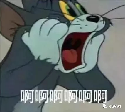 f4.webp.jpg